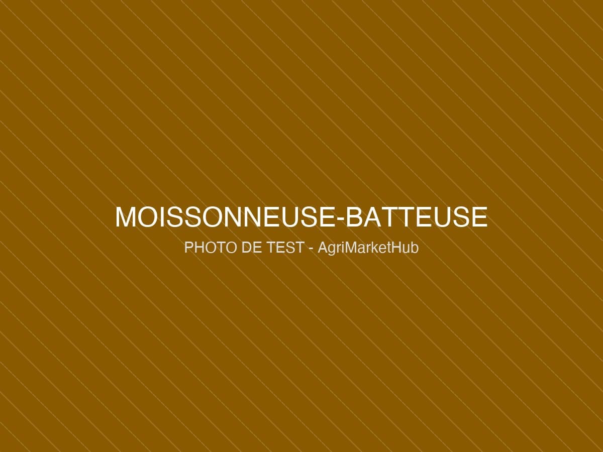 Moissonneuse-batteuse New Holland CX6.90