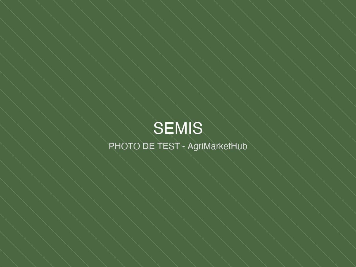 Semoir monograine Monosem NG Plus 4